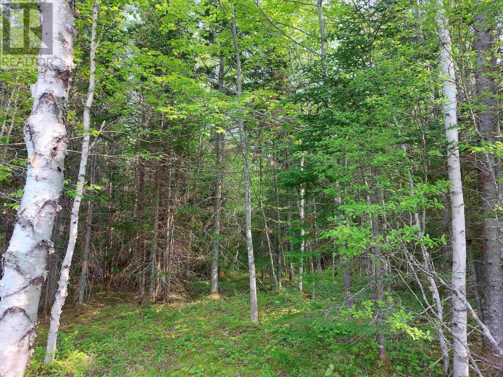 Lot 4 Beaver Ln., Grantville, Nova Scotia  B0E 1J0 - Photo 4 - 202504946