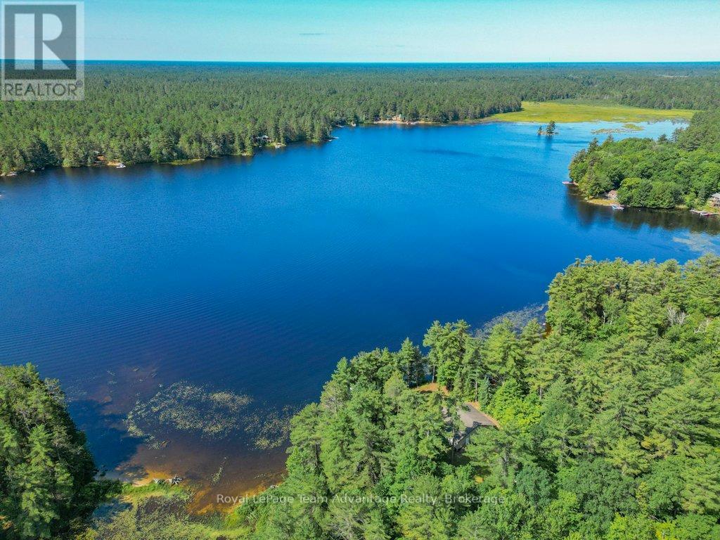 49 Harris Lake W/a, Parry Sound Remote Area, Ontario  P0G 1K0 - Photo 40 - X12247952