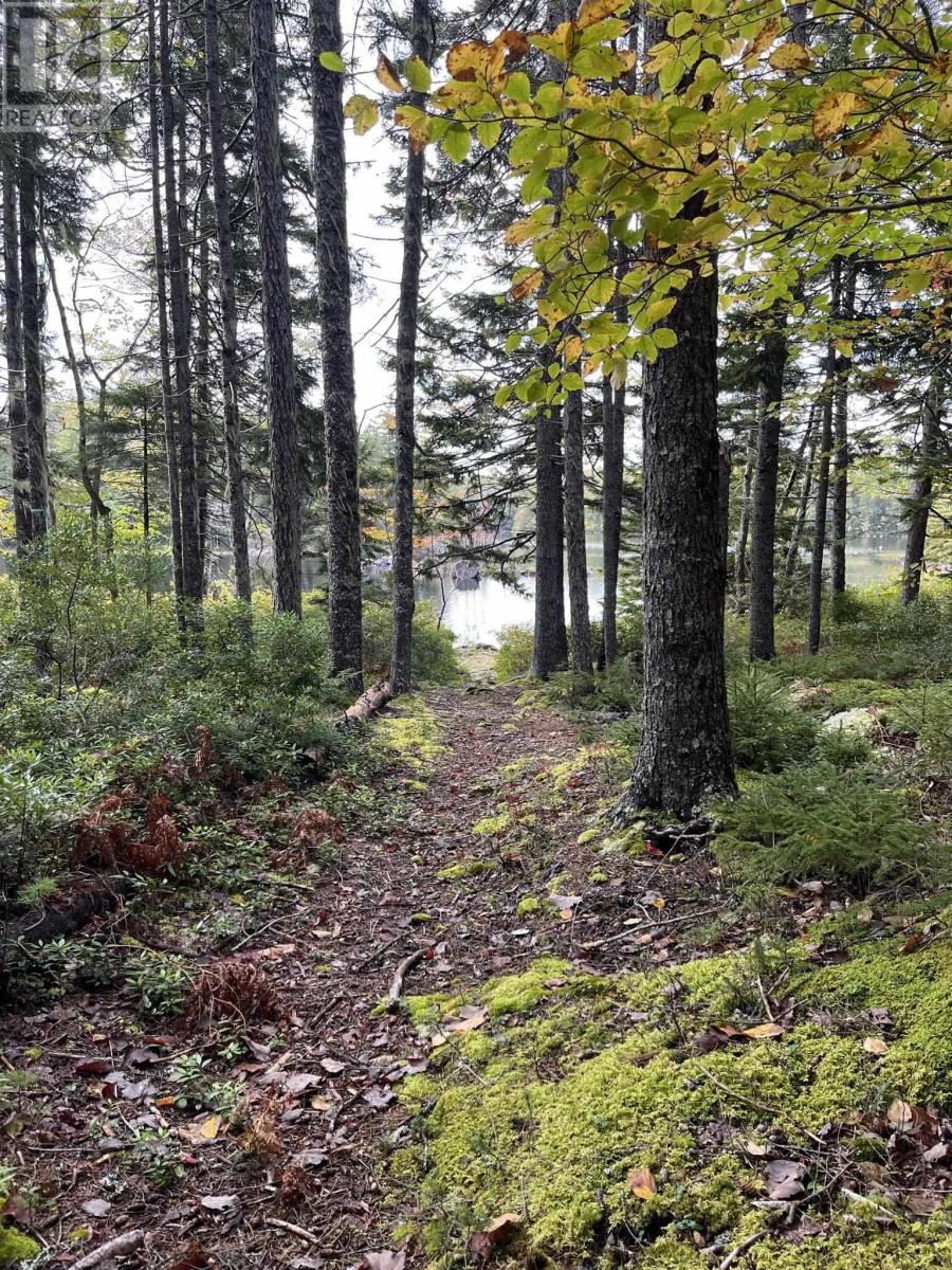 442 Narrows Road, Labelle, Nova Scotia  B0T 1E0 - Photo 9 - 202500301