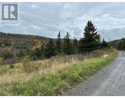 Lots 0-3 Neddies Harbour Road, Norris Point, Newfoundland & Labrador