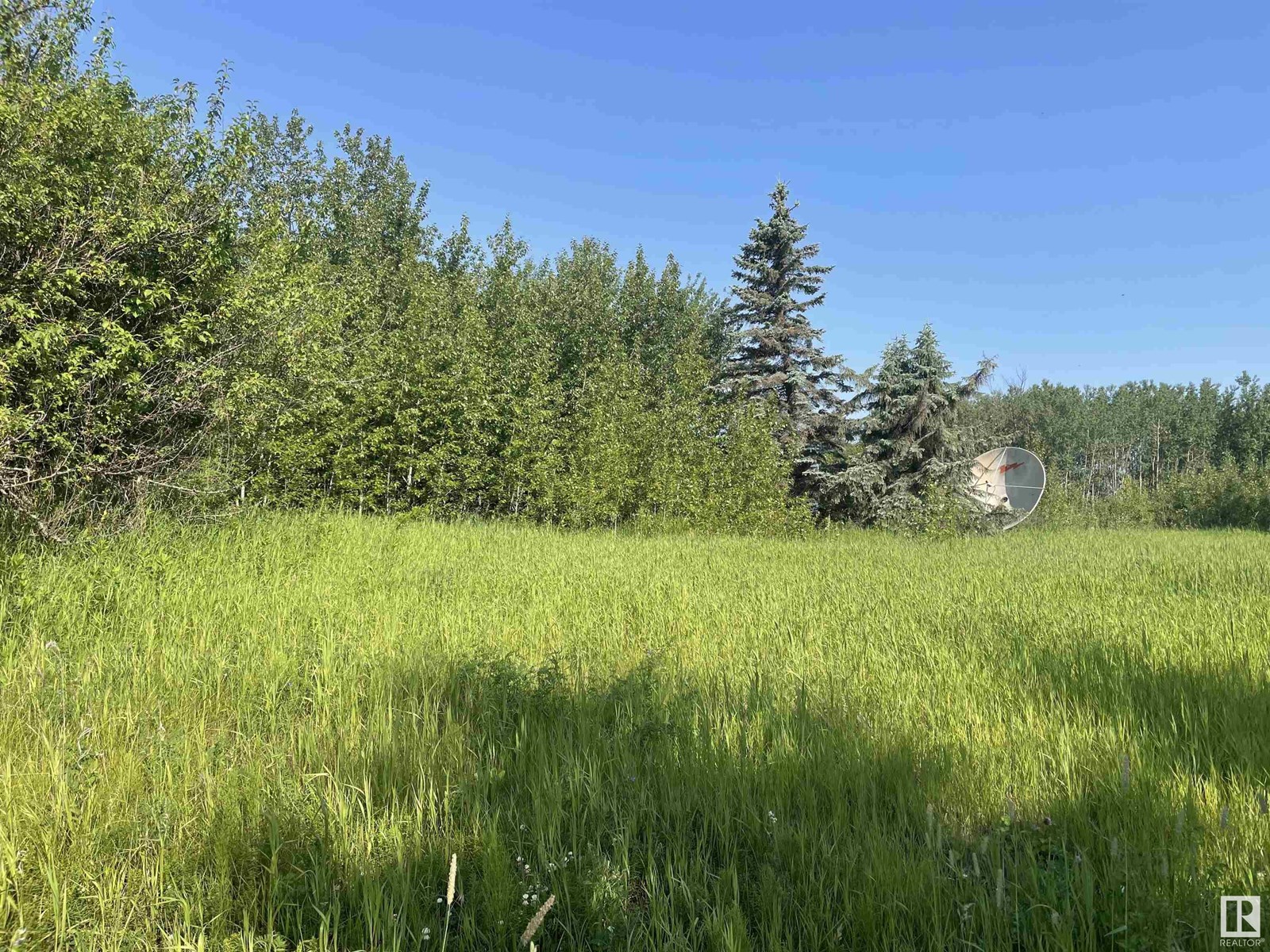 184006 Twp Rd 680, Rural Athabasca County, Alberta  T0A 1V0 - Photo 11 - E4446432