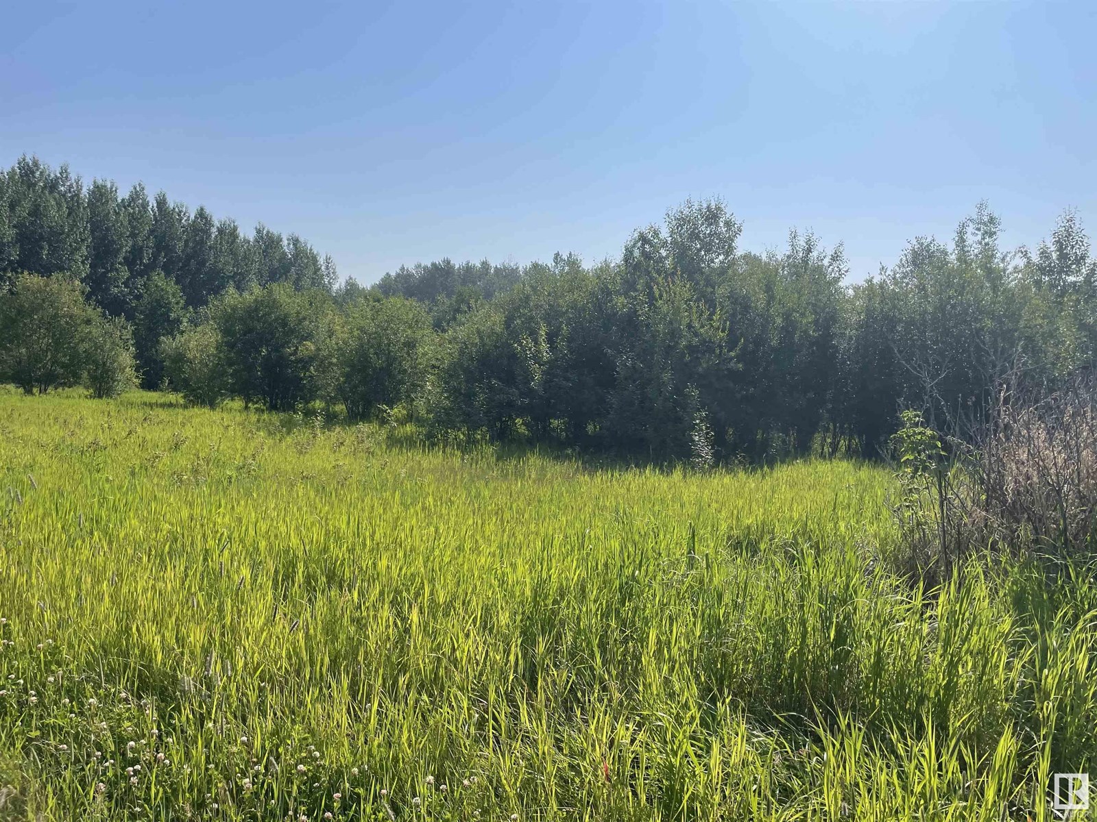 184006 Twp Rd 680, Rural Athabasca County, Alberta  T0A 1V0 - Photo 13 - E4446432