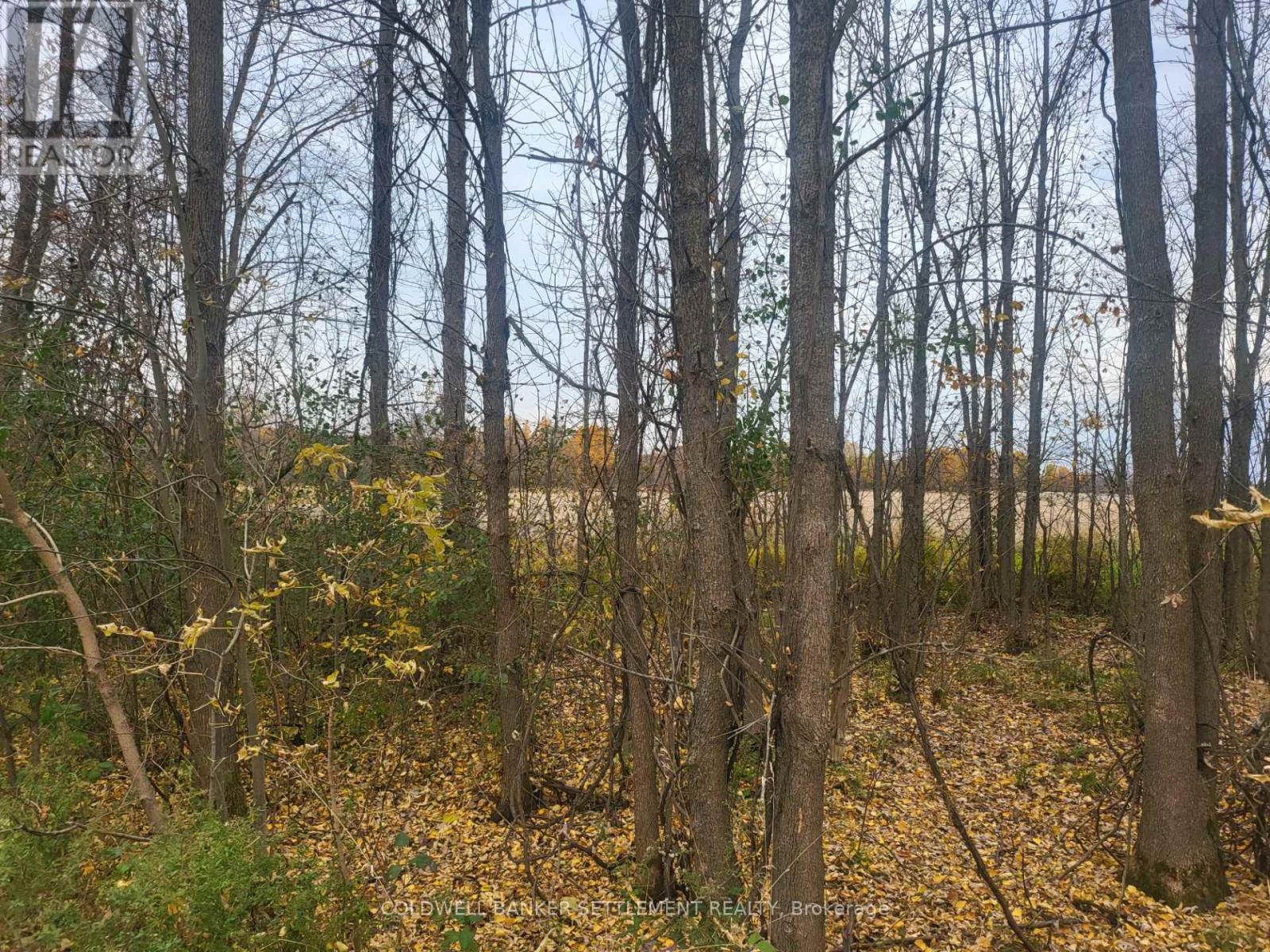 LOT 5 BUSH ROAD, Rideau Lakes, Ontario