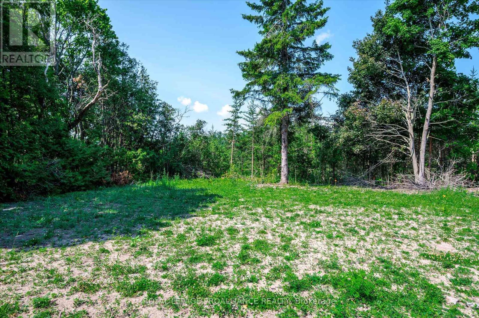 100 Reid Street, Kawartha Lakes, Ontario  K0M 1A0 - Photo 42 - X12269899