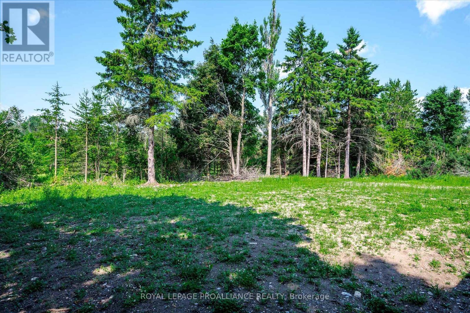 100 Reid Street, Kawartha Lakes, Ontario  K0M 1A0 - Photo 43 - X12269899