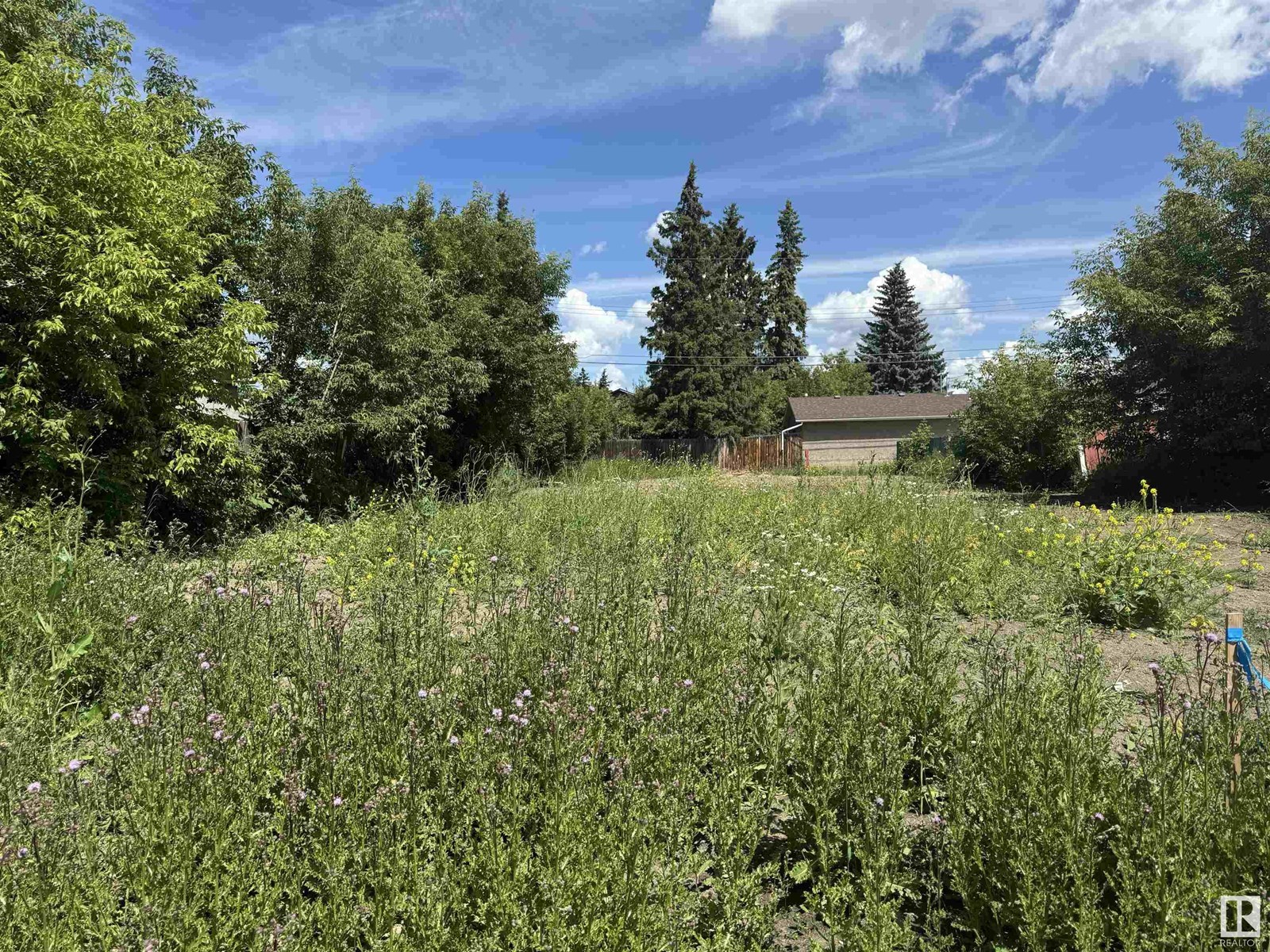 Property at 16304 109A AV NW image