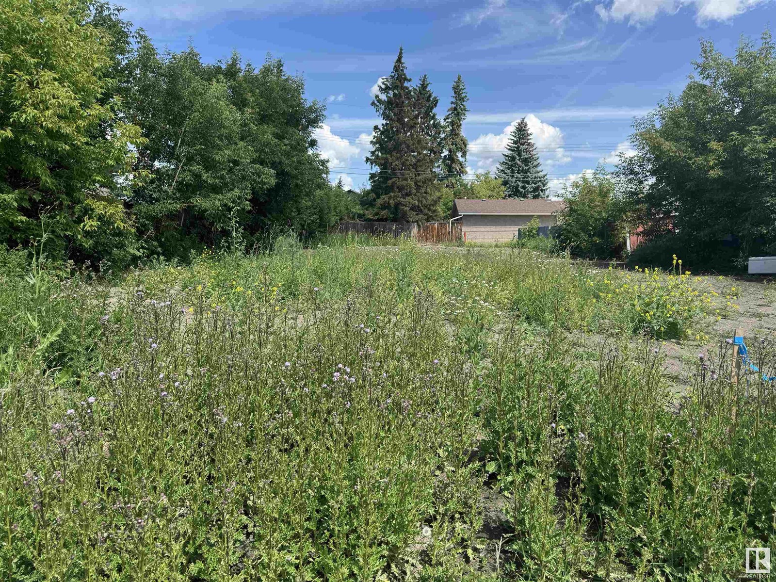 Property at 16304 109A AV NW image