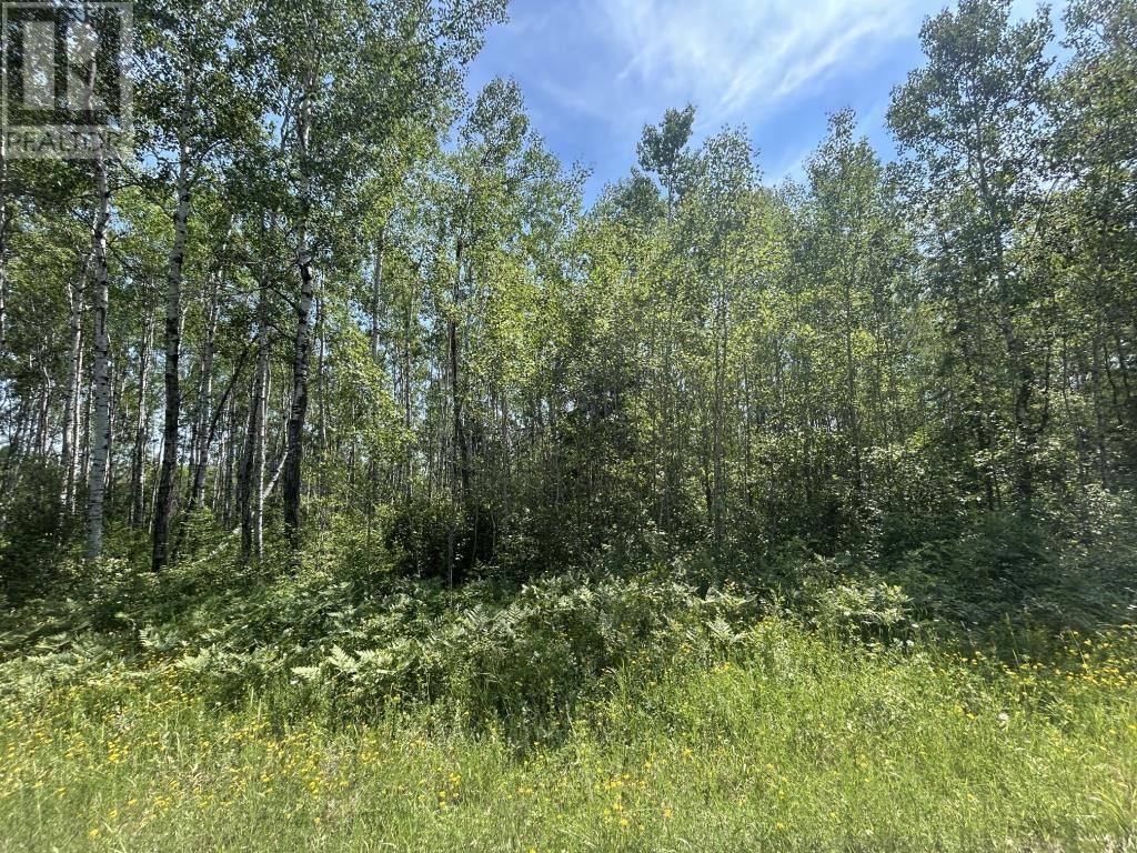 Parcel 19523 Barnhardt Road, Emo, Ontario  P0W 1E0 - Photo 1 - TB251964