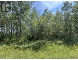 Parcel 19523 Barnhardt Road, Emo, Ontario