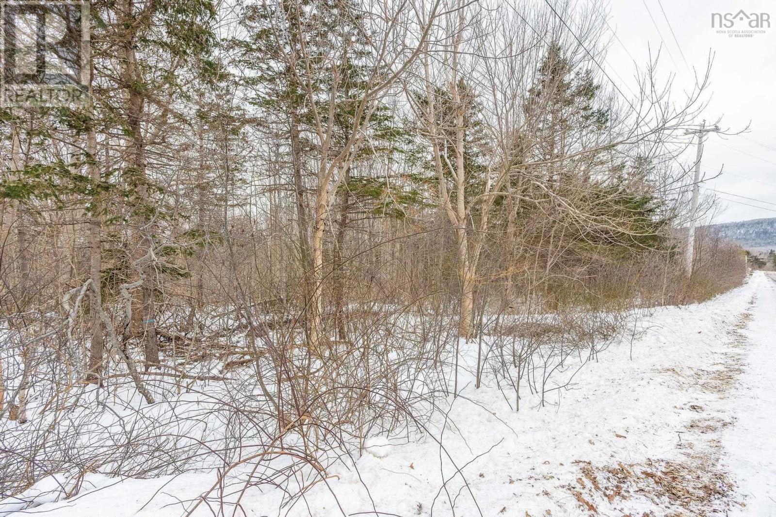 Lot 17 Granville Road, Karsdale, Nova Scotia  B0S 1A0 - Photo 27 - 202502472