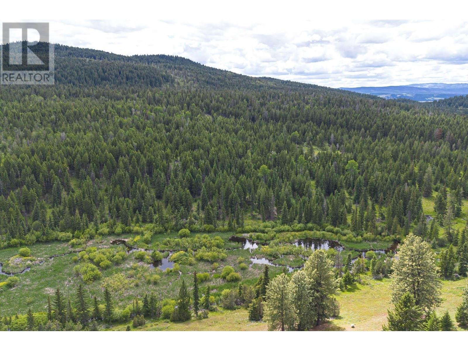 SW 1/4 SCUITTO Lake Kamloops Photo 22