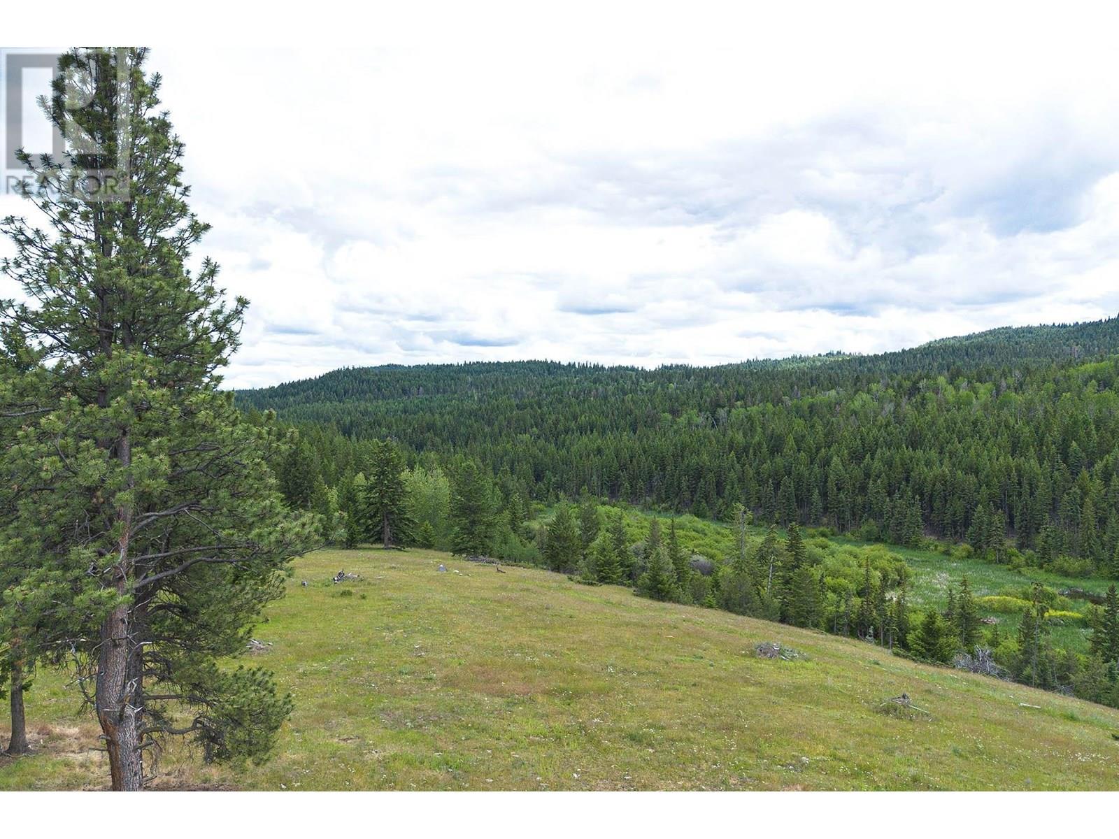 SW 1/4 SCUITTO Lake Kamloops Photo 26