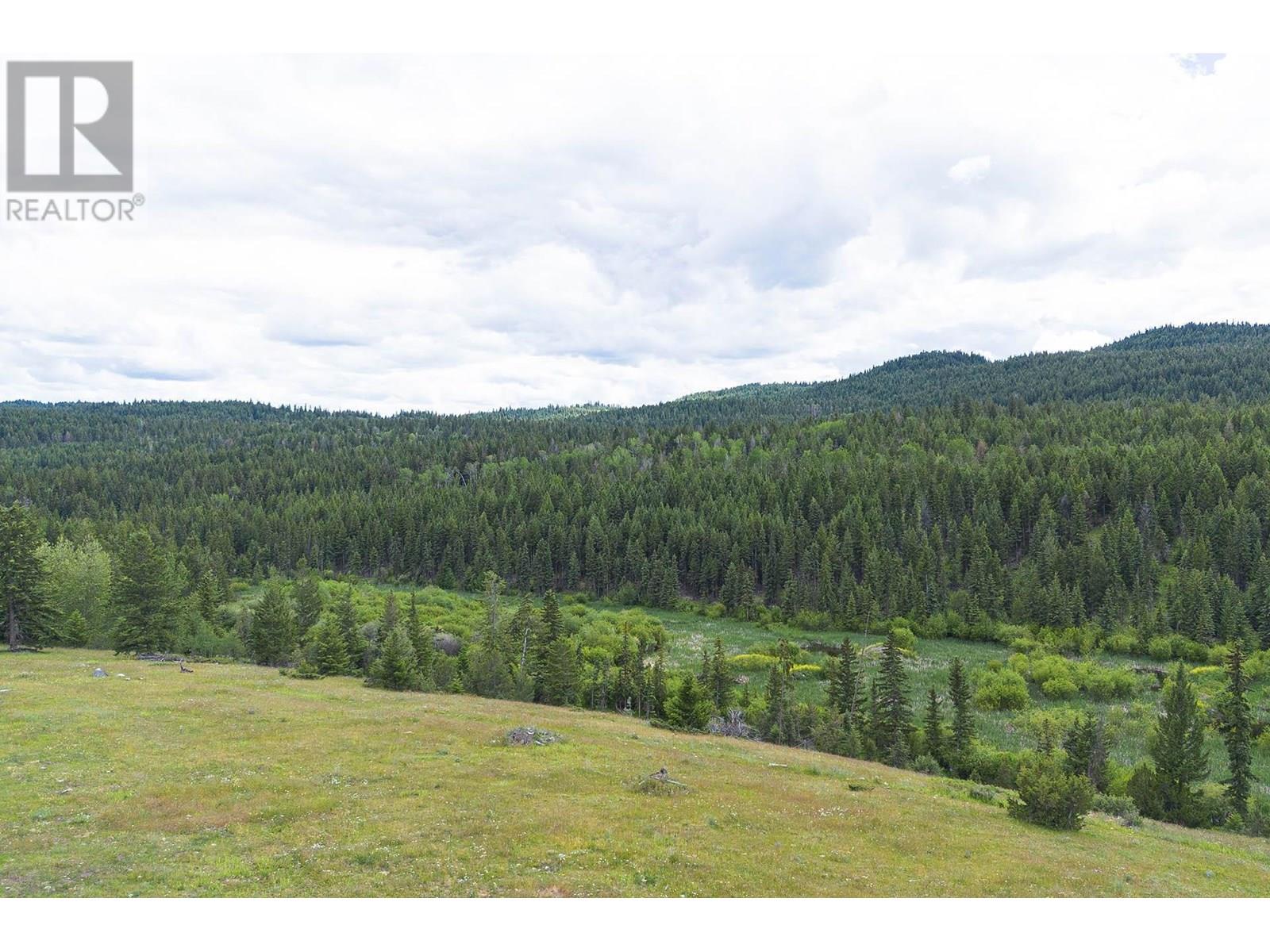 SW 1/4 SCUITTO Lake Kamloops Photo 28