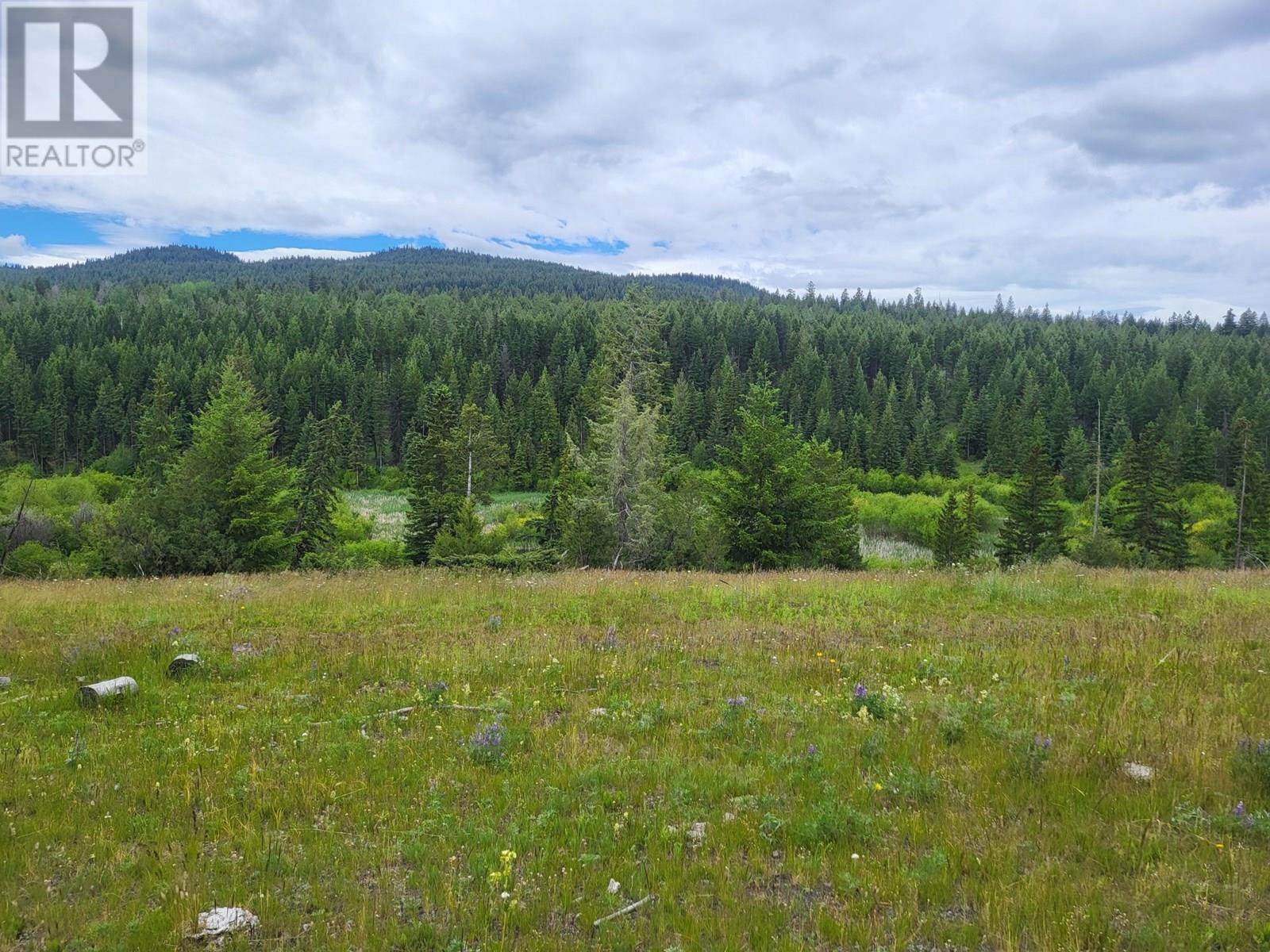 SW 1/4 SCUITTO Lake Kamloops Photo 49