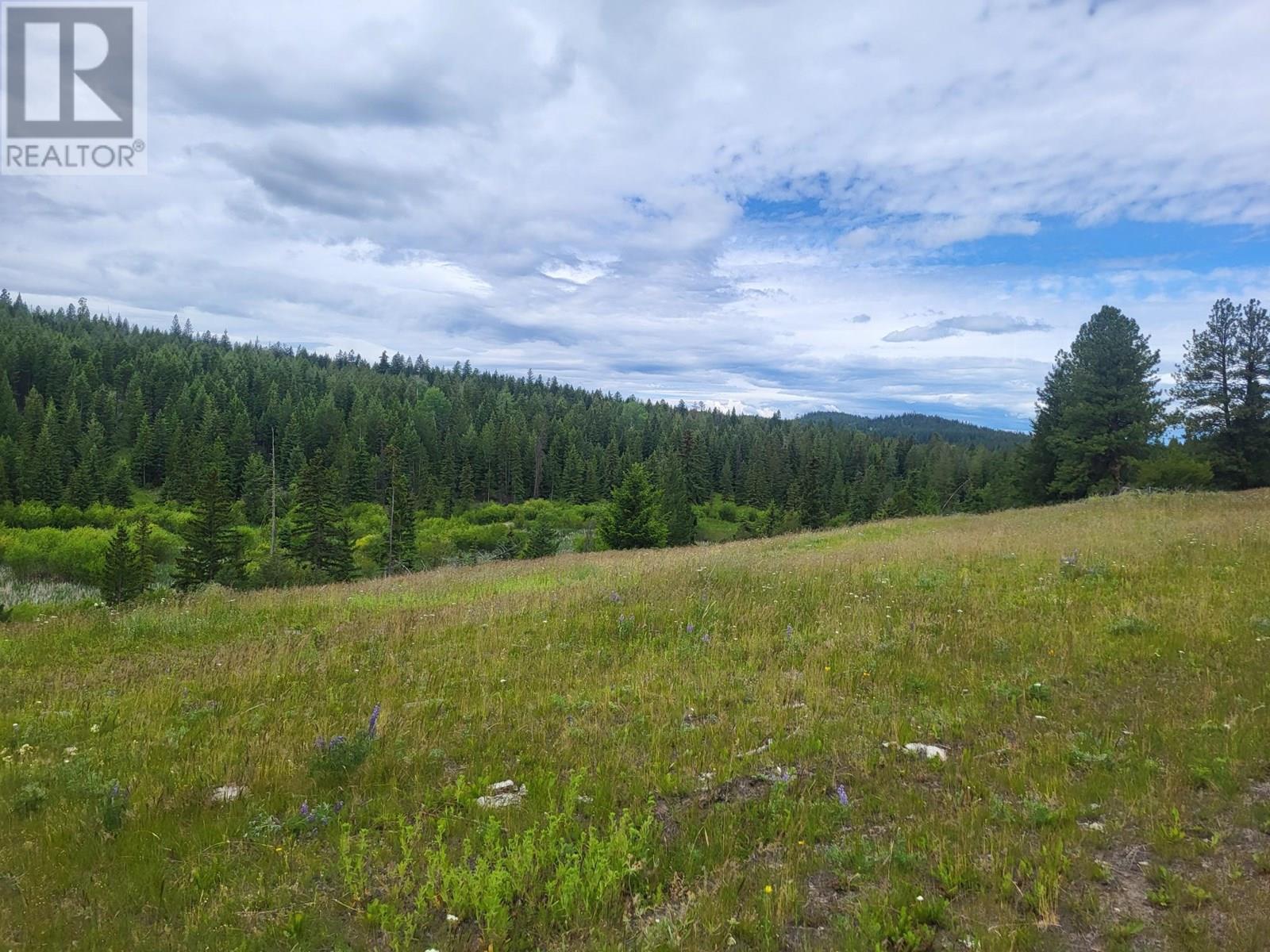 SW 1/4 SCUITTO Lake Kamloops Photo 50