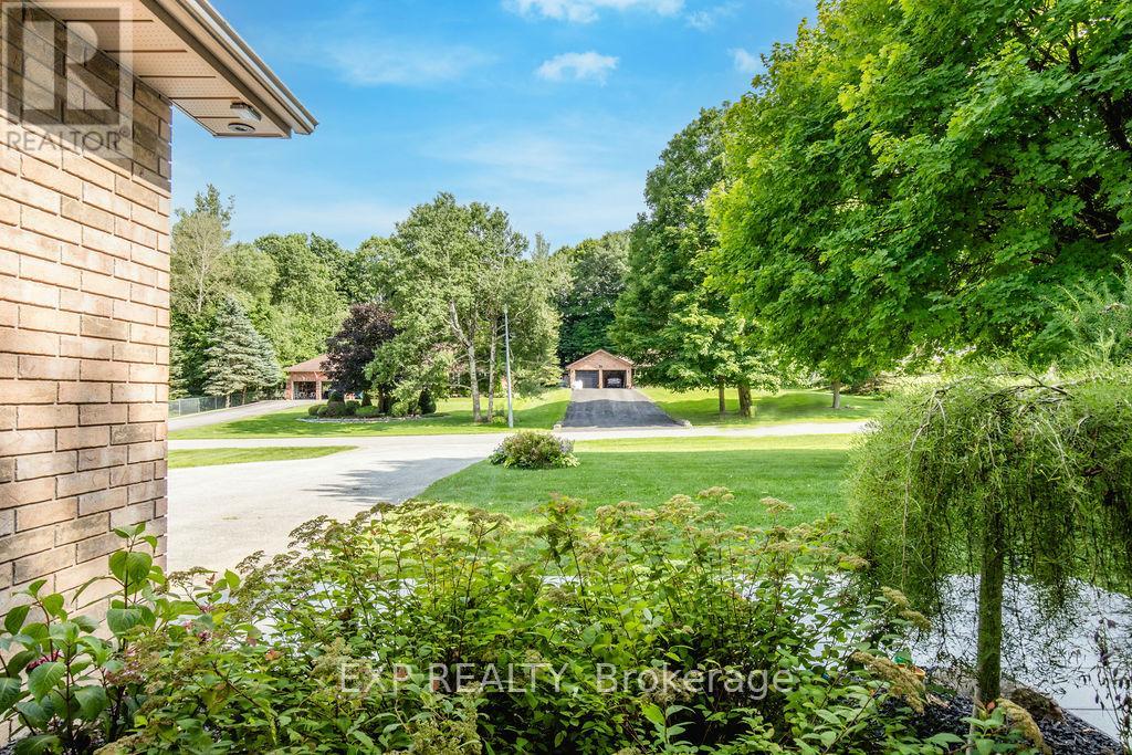 Property at 37 PADDY DUNNS CIRCLE image 3