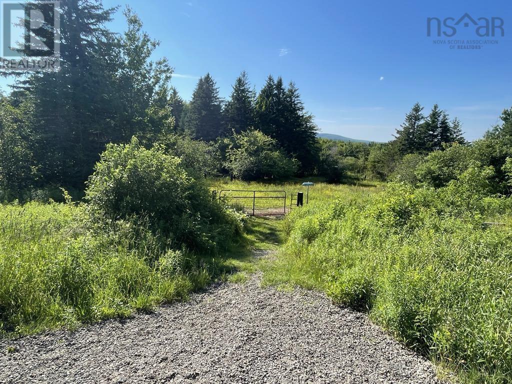 230 Arsenaults Hill Road, Margaree, Nova Scotia  B0E 2B0 - Photo 18 - 202516740