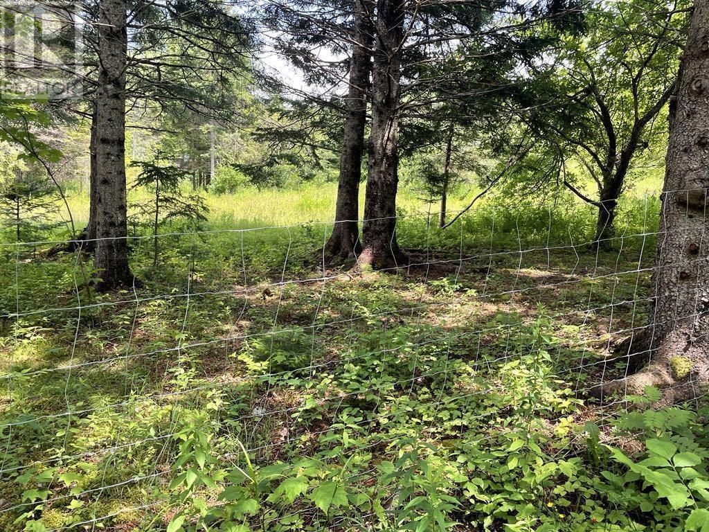 230 Arsenaults Hill Road, Margaree, Nova Scotia  B0E 2B0 - Photo 21 - 202516740