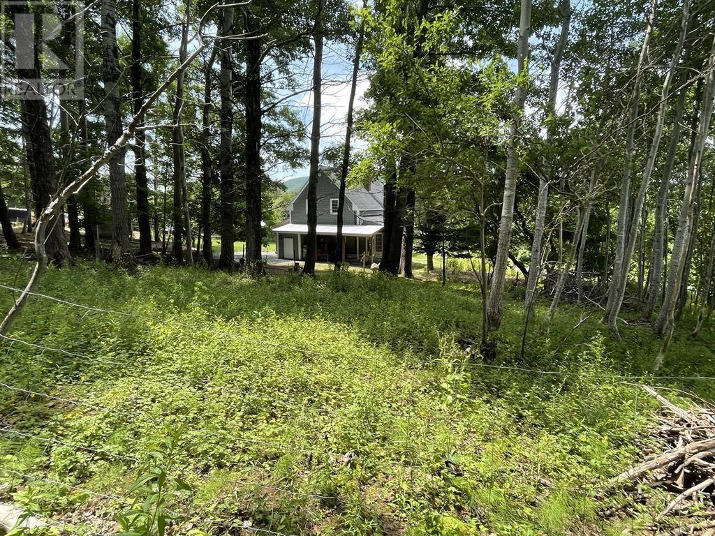 230 Arsenaults Hill Road, Margaree, Nova Scotia  B0E 2B0 - Photo 10 - 202516740