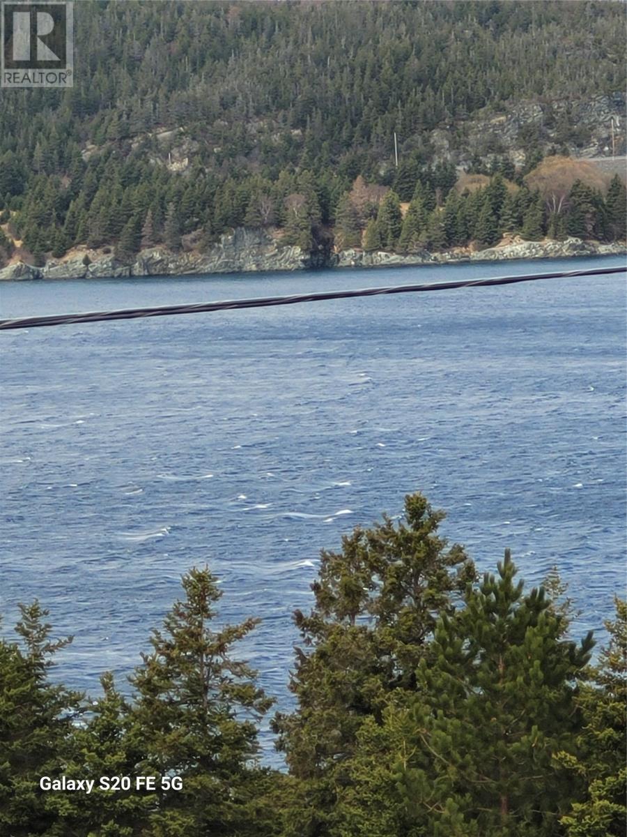 8 Jacksonville Estates, South River, Newfoundland & Labrador  A0A 3W0 - Photo 41 - 1287503