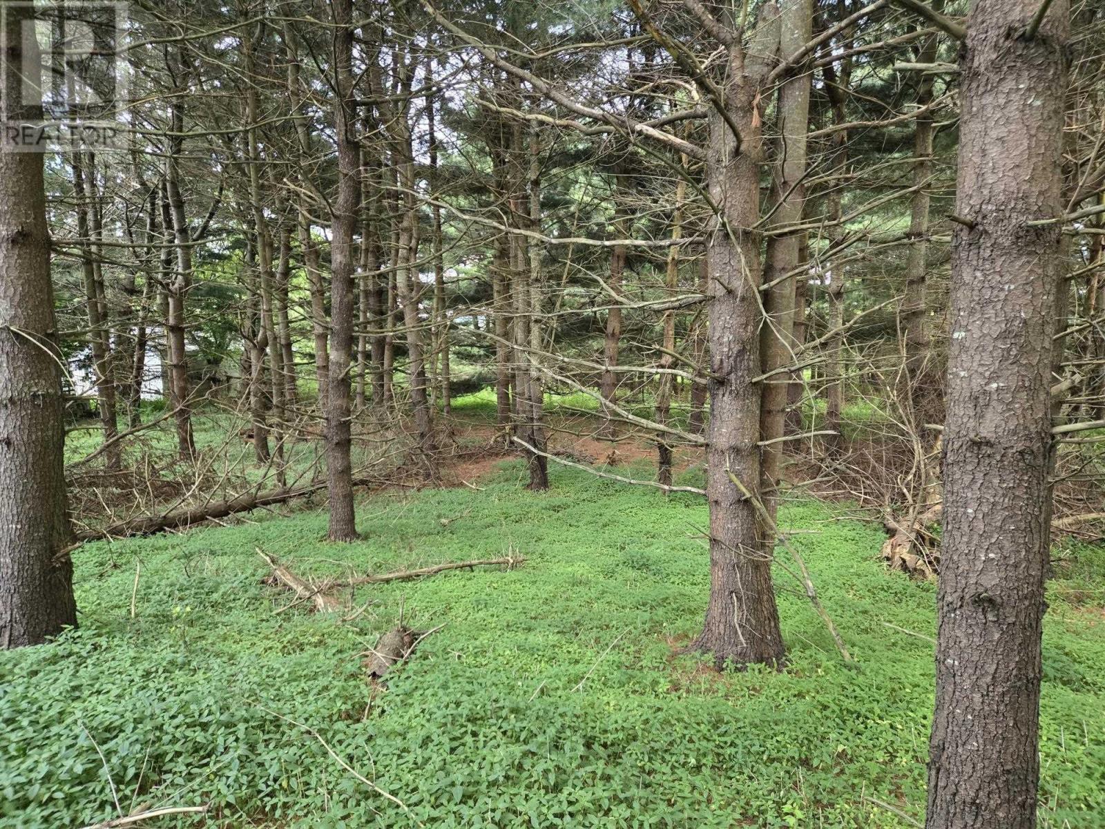 Lot 3 Salmon River Road, Murray Siding, Nova Scotia  B2N 7E1 - Photo 4 - 202516952