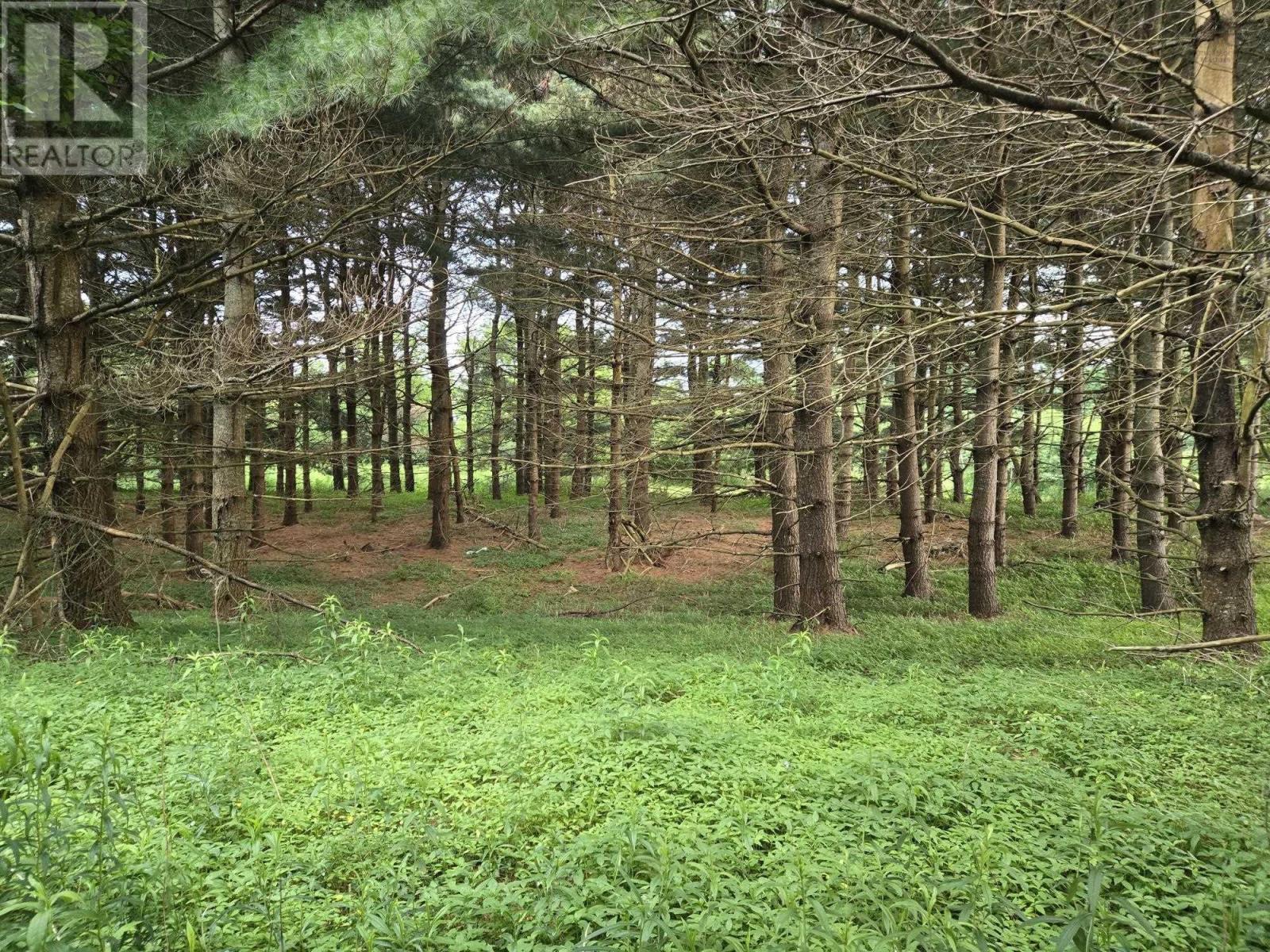 Lot 3 Salmon River Road, Murray Siding, Nova Scotia  B2N 7E1 - Photo 6 - 202516952