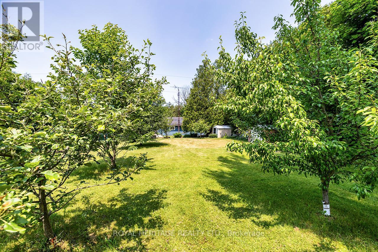 5291 County 45 Road, Hamilton Township, Ontario  K0K 1C0 - Photo 35 - X12267361