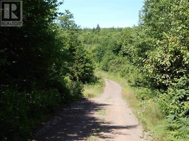80 Acres Scotsburn Road, West Branch, Nova Scotia  B0K 1R0 - Photo 13 - 202501542