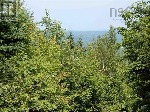 80 Acres Scotsburn Road, West Branch, Nova Scotia  B0K 1R0 - Photo 4 - 202501542