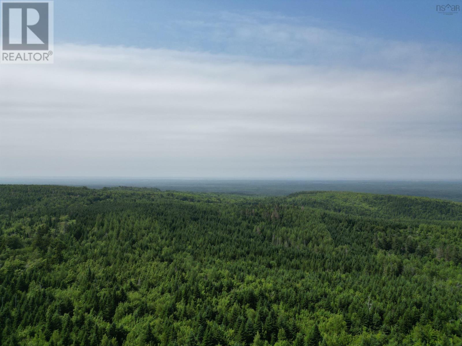 80 Acres Scotsburn Road, West Branch, Nova Scotia  B0K 1R0 - Photo 20 - 202501542