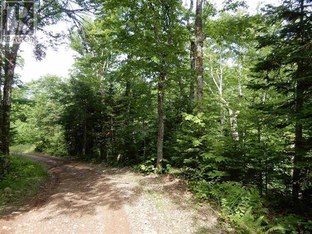 80 Acres Scotsburn Road, West Branch, Nova Scotia  B0K 1R0 - Photo 6 - 202501542