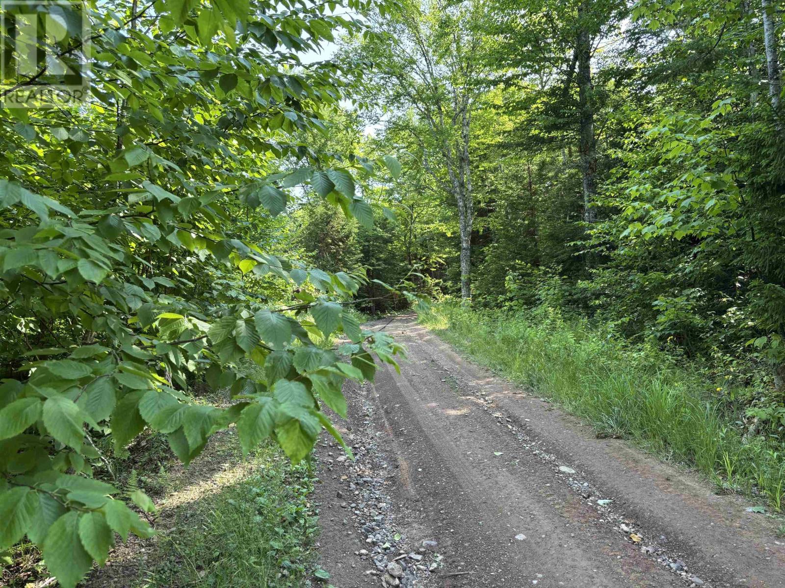 80 Acres Scotsburn Road, West Branch, Nova Scotia  B0K 1R0 - Photo 16 - 202501542