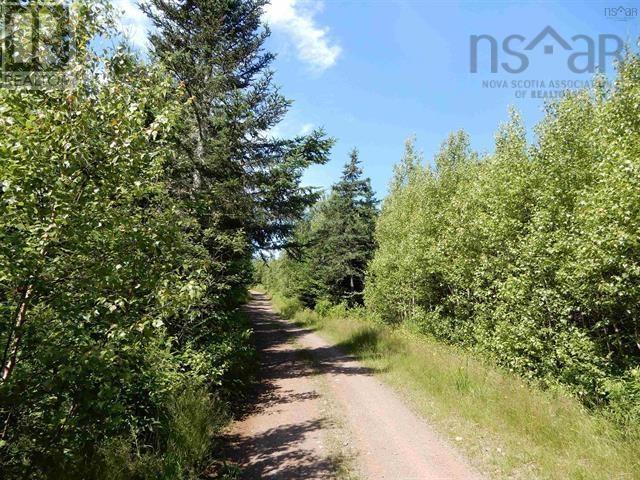80 Acres Scotsburn Road, West Branch, Nova Scotia  B0K 1R0 - Photo 5 - 202501542