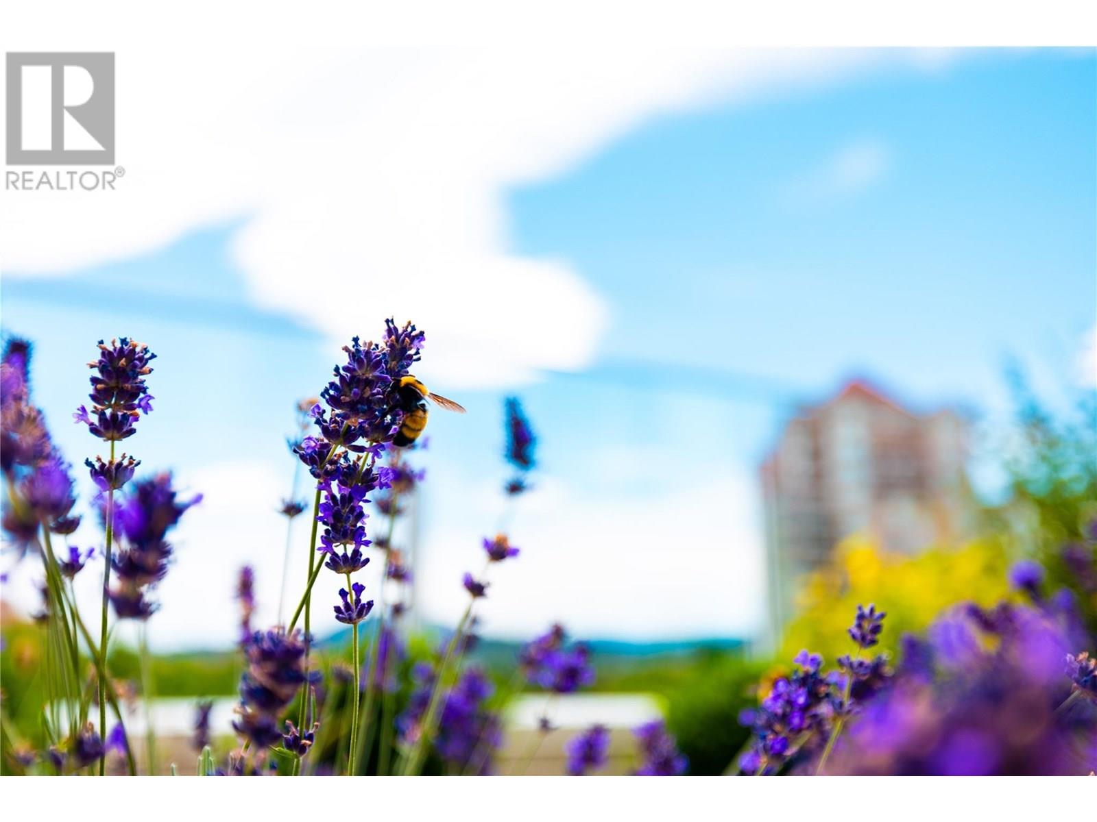 1181 Sunset Drive Unit# 402, Kelowna, British Columbia  V1Y 0L4 - Photo 7 - 10354215