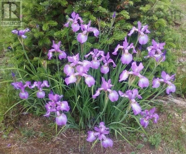 2328 Black River Road, Lumsden Dam, Nova Scotia  B4P 2R1 - Photo 36 - 202504649