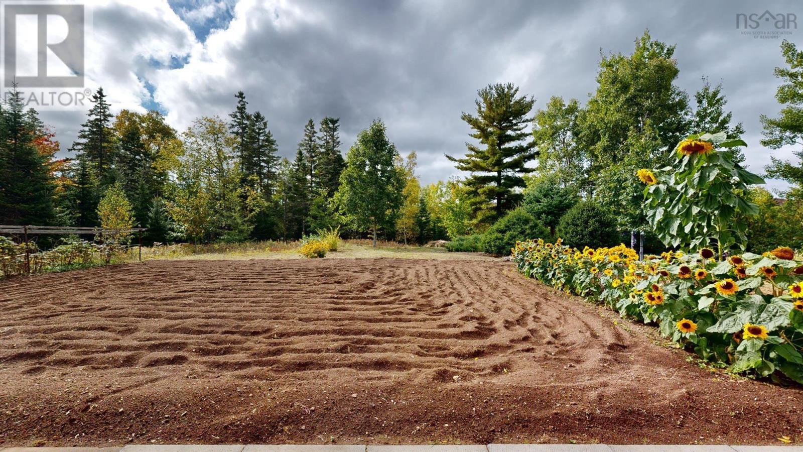 2328 Black River Road, Lumsden Dam, Nova Scotia  B4P 2R1 - Photo 41 - 202504649