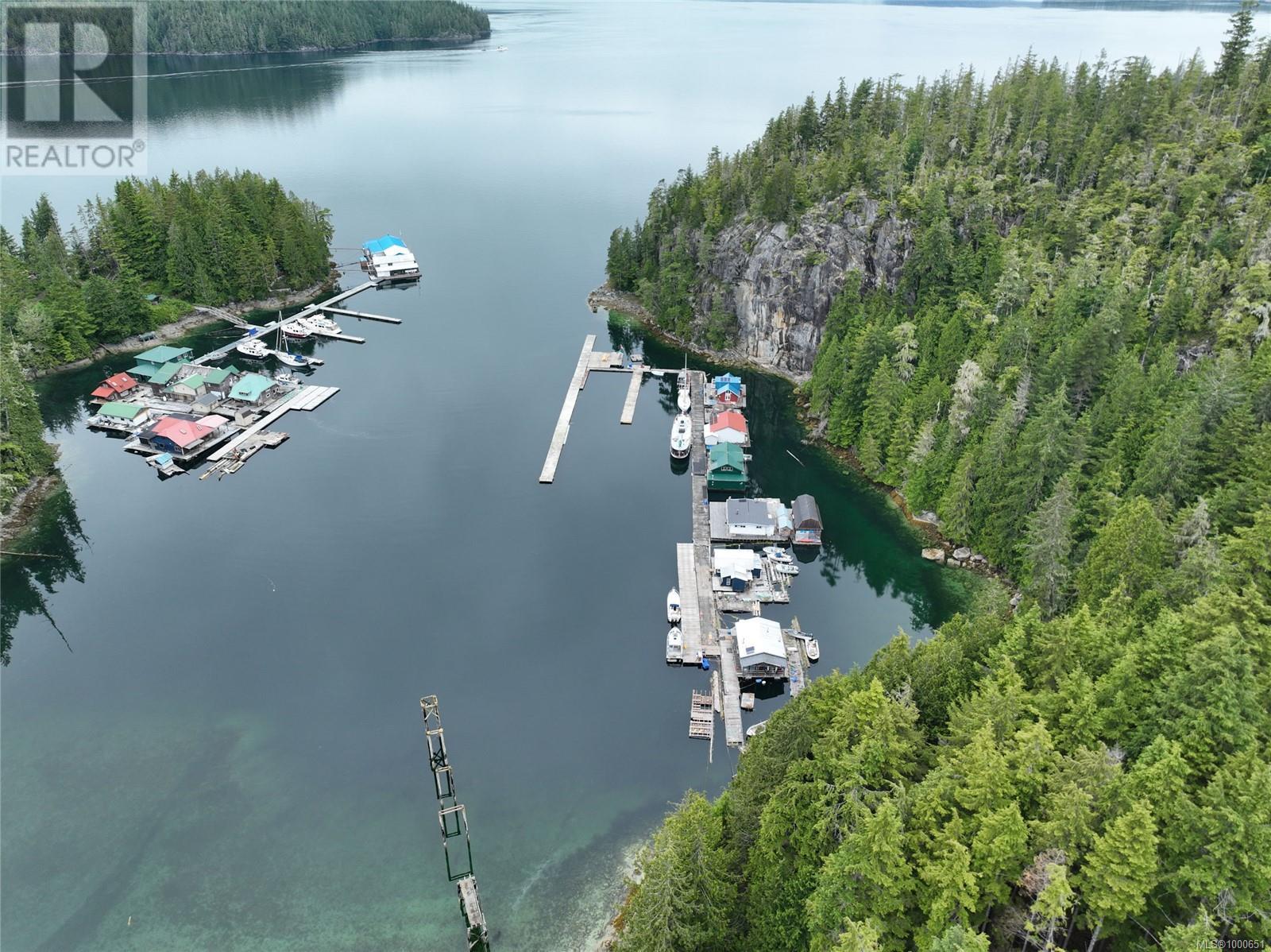 V906829 Echo Bay, See Remarks, British Columbia  V0P 1S0 - Photo 2 - 1000651