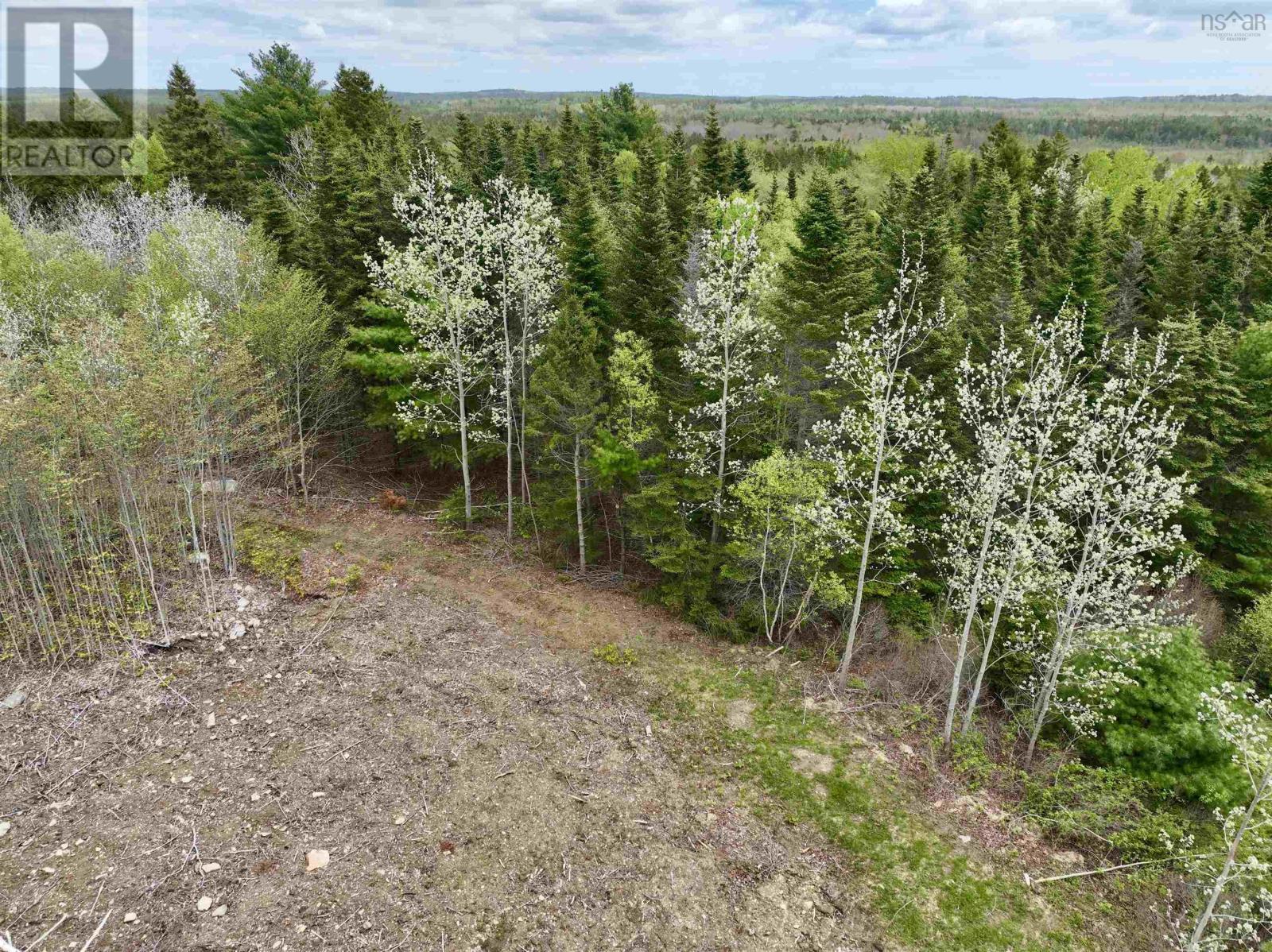 Lot 15 Camperdown School Road, Middlewood, Nova Scotia  B4V 6H8 - Photo 10 - 202511840