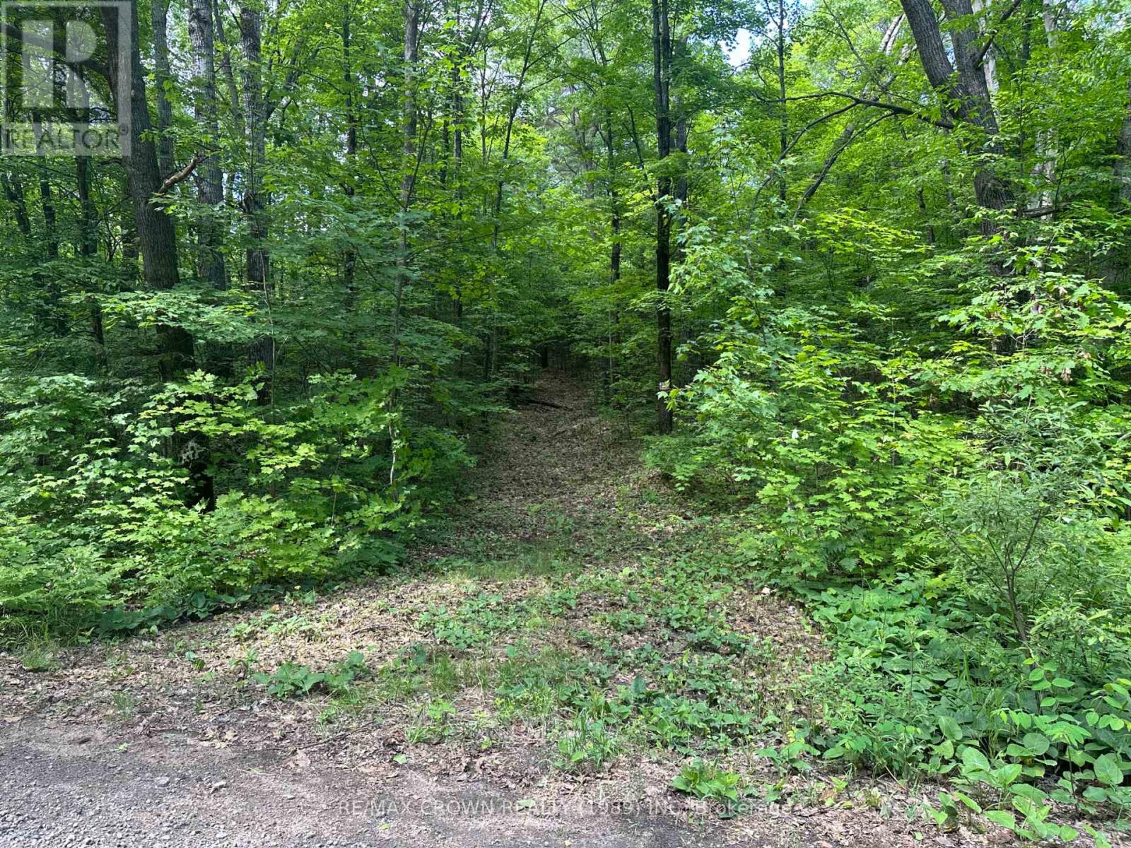Part 2 3097 Fern Glen Road, Mcmurrich/monteith, Ontario  P0A 1J0 - Photo 18 - X12253412