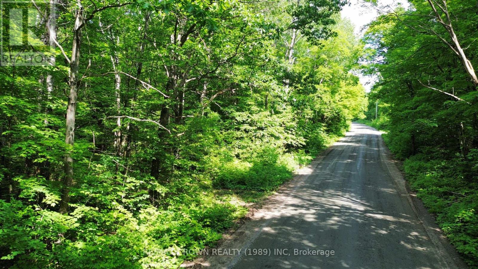 Part 2 3097 Fern Glen Road, Mcmurrich/monteith, Ontario  P0A 1J0 - Photo 8 - X12253412