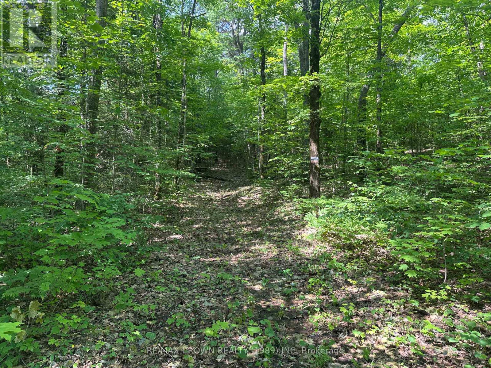 Part 2 3097 Fern Glen Road, Mcmurrich/monteith, Ontario  P0A 1J0 - Photo 11 - X12253412
