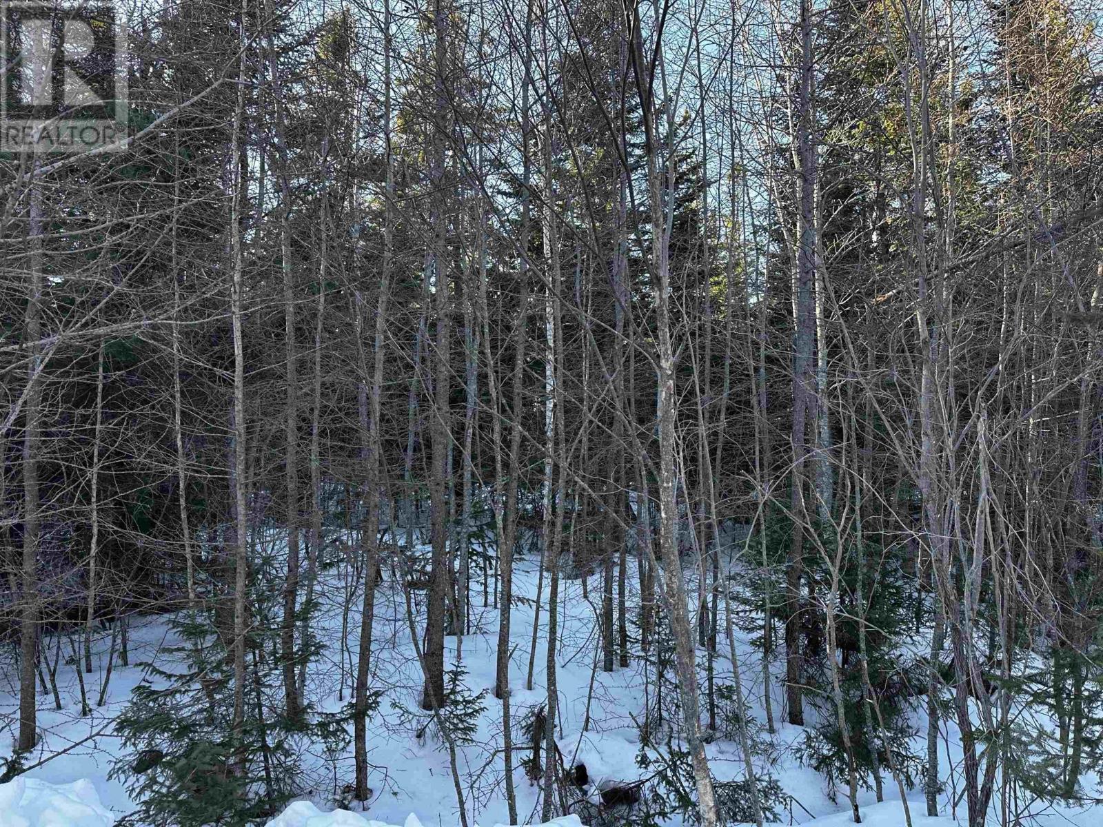 Emerald Drive, Emerald Estates, Whycocomagh Portage, Nova Scotia  B0E 3M0 - Photo 16 - 202516971