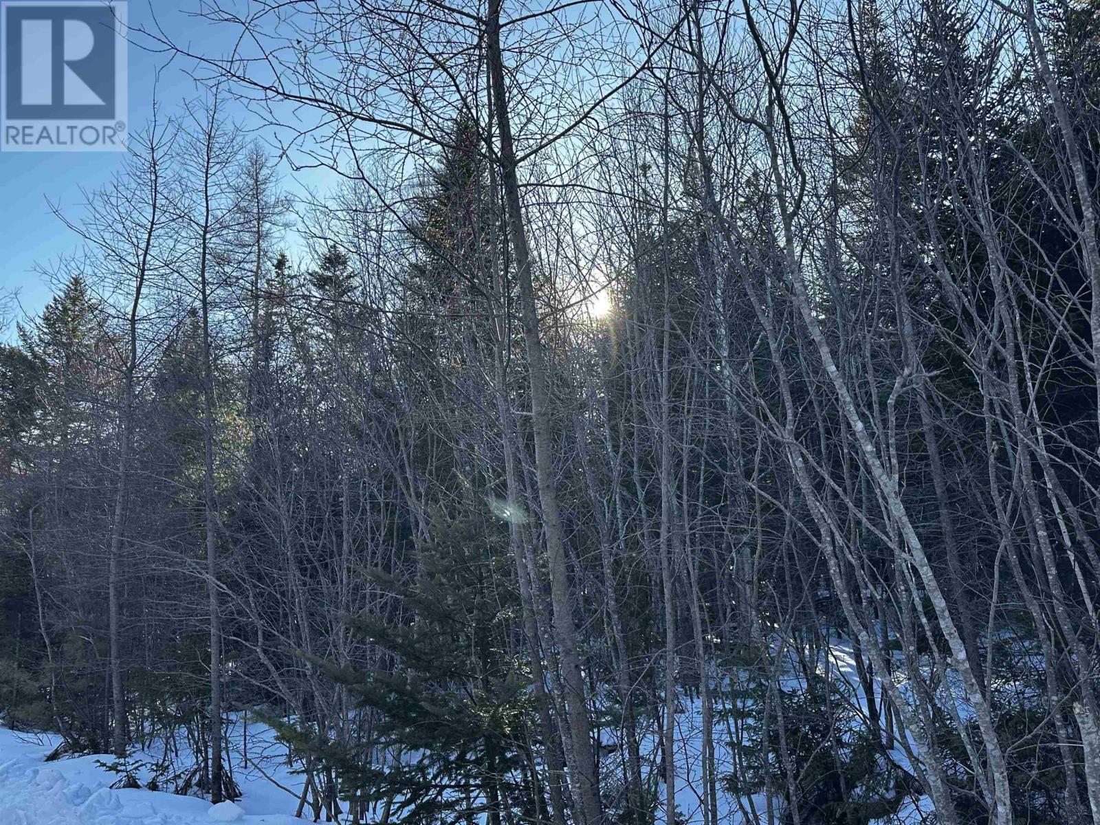 Emerald Drive, Emerald Estates, Whycocomagh Portage, Nova Scotia  B0E 3M0 - Photo 4 - 202516971