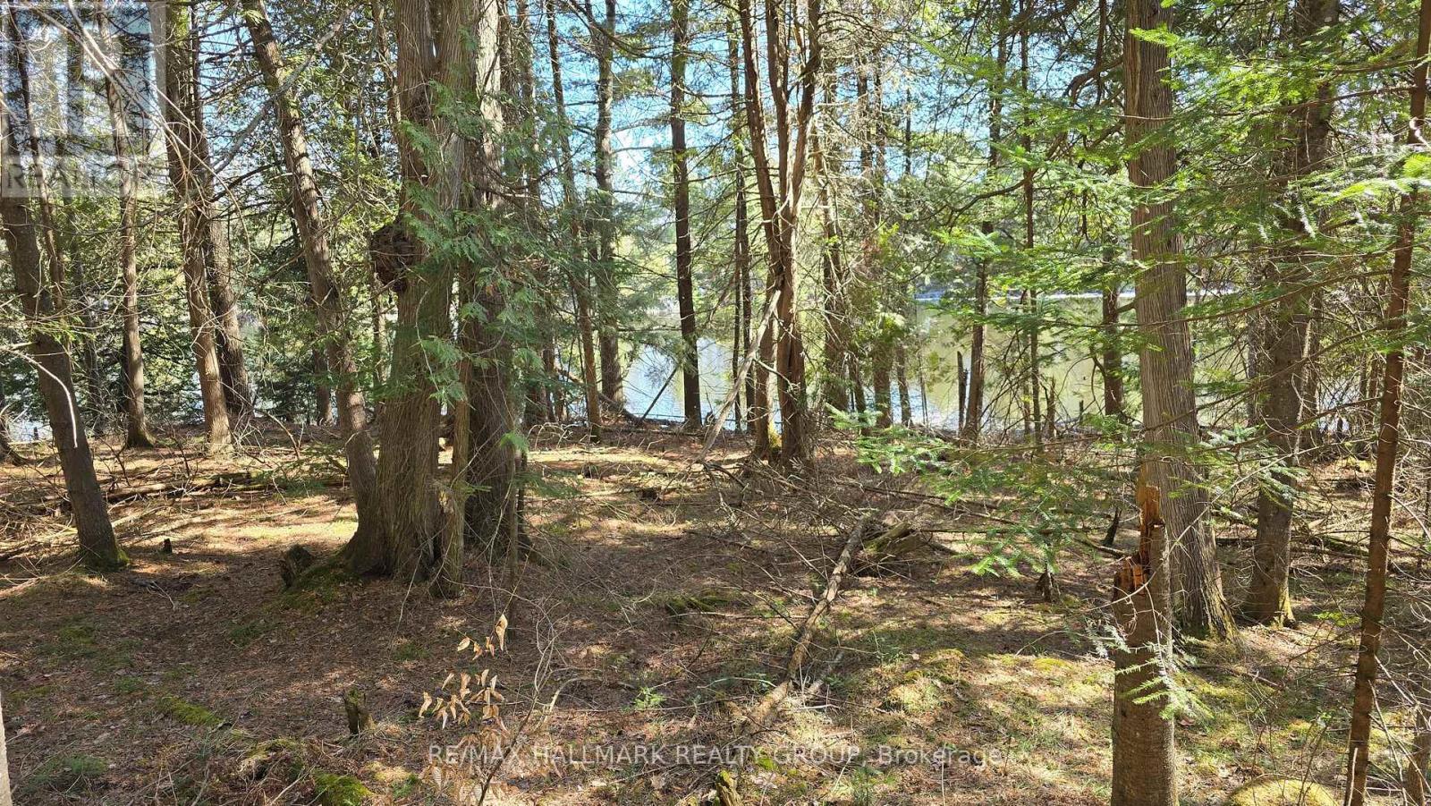 0000 Calabogie Road, Greater Madawaska, Ontario  K0J 1G0 - Photo 11 - X12106108