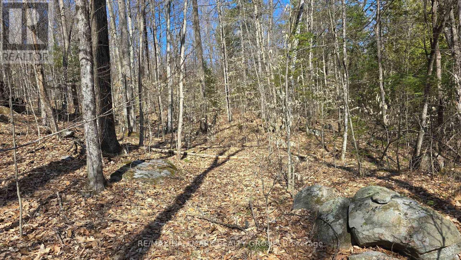 0000 Calabogie Road, Greater Madawaska, Ontario  K0J 1G0 - Photo 10 - X12106108