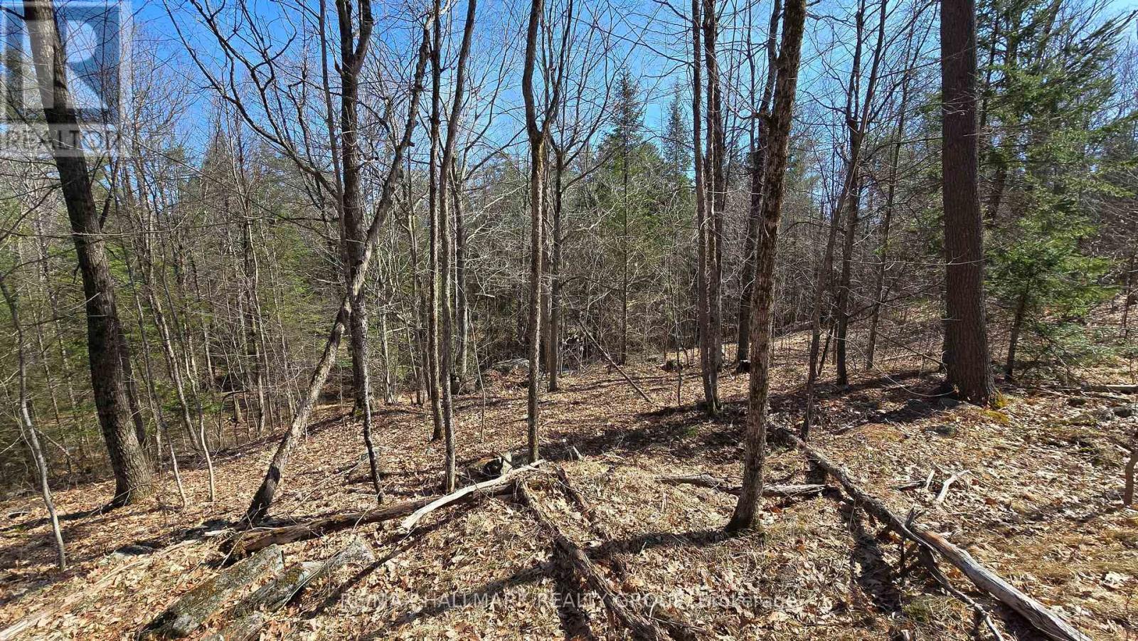 0000 Calabogie Road, Greater Madawaska, Ontario  K0J 1G0 - Photo 16 - X12106108