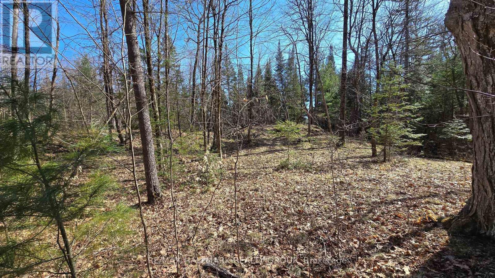 0000 Calabogie Road, Greater Madawaska, Ontario  K0J 1G0 - Photo 14 - X12106108