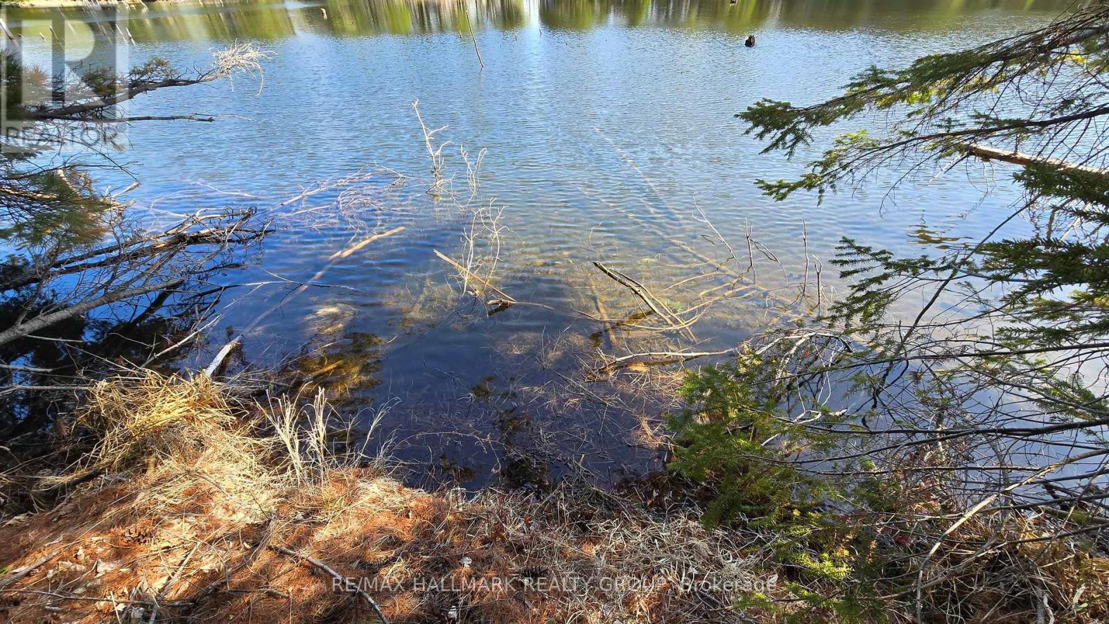 0000 Calabogie Road, Greater Madawaska, Ontario  K0J 1G0 - Photo 13 - X12106108