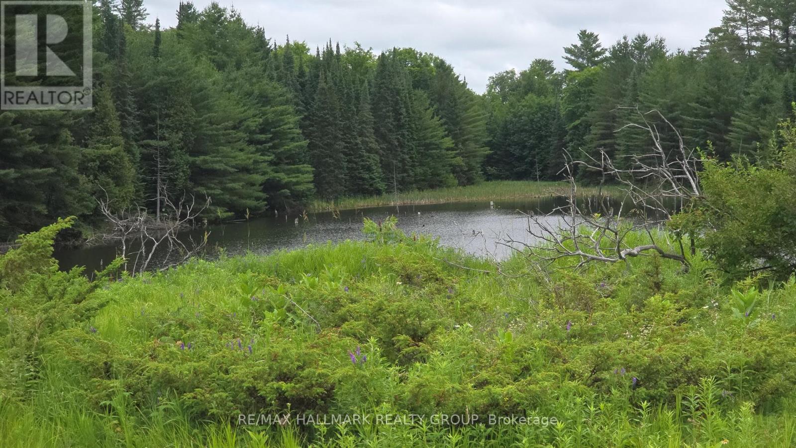 0000 Calabogie Road, Greater Madawaska, Ontario  K0J 1G0 - Photo 2 - X12106108