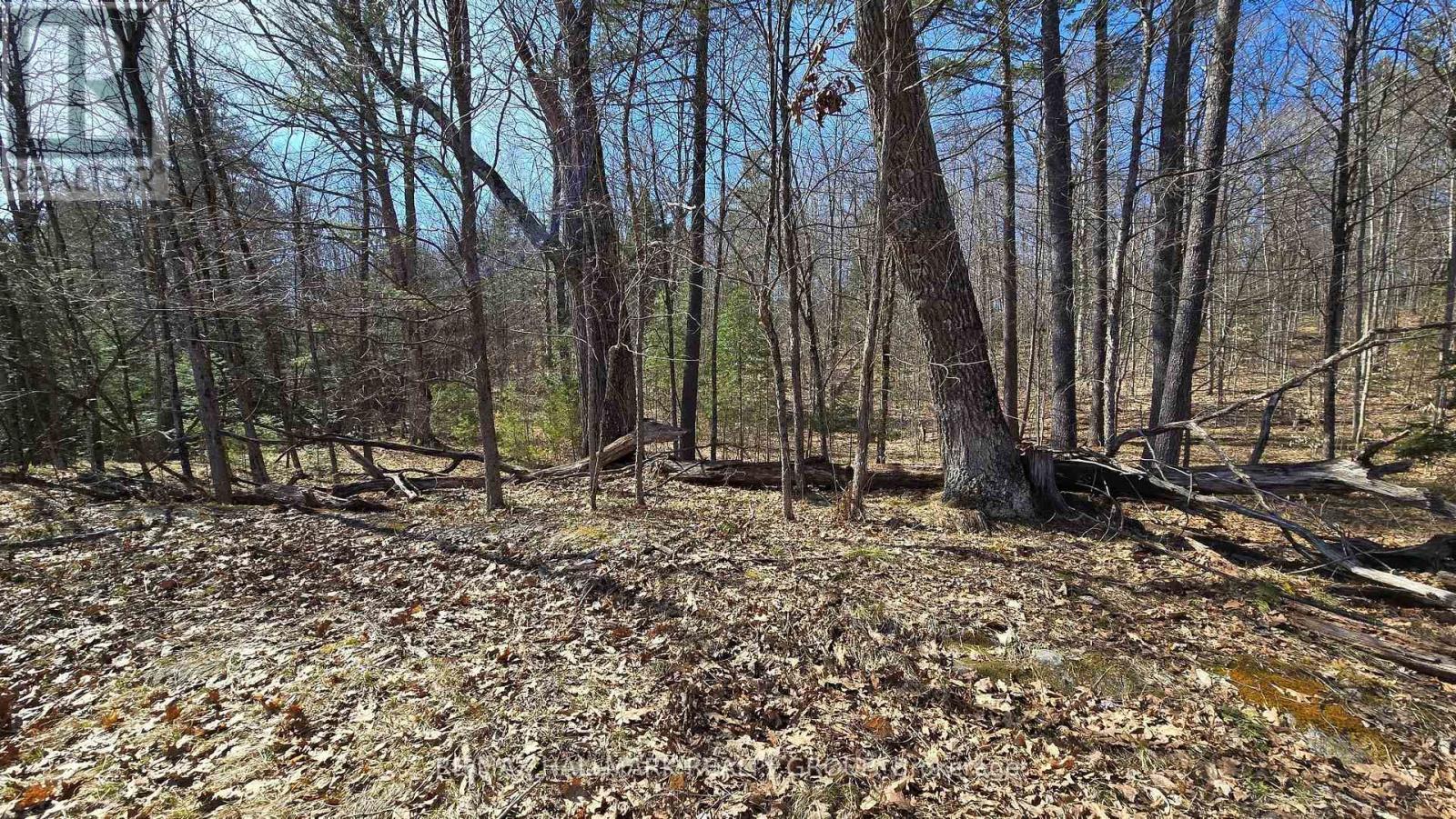 0000 Calabogie Road, Greater Madawaska, Ontario  K0J 1G0 - Photo 15 - X12106108